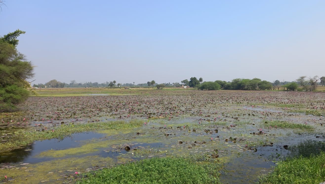 Gulawat Lotus Valley Indore